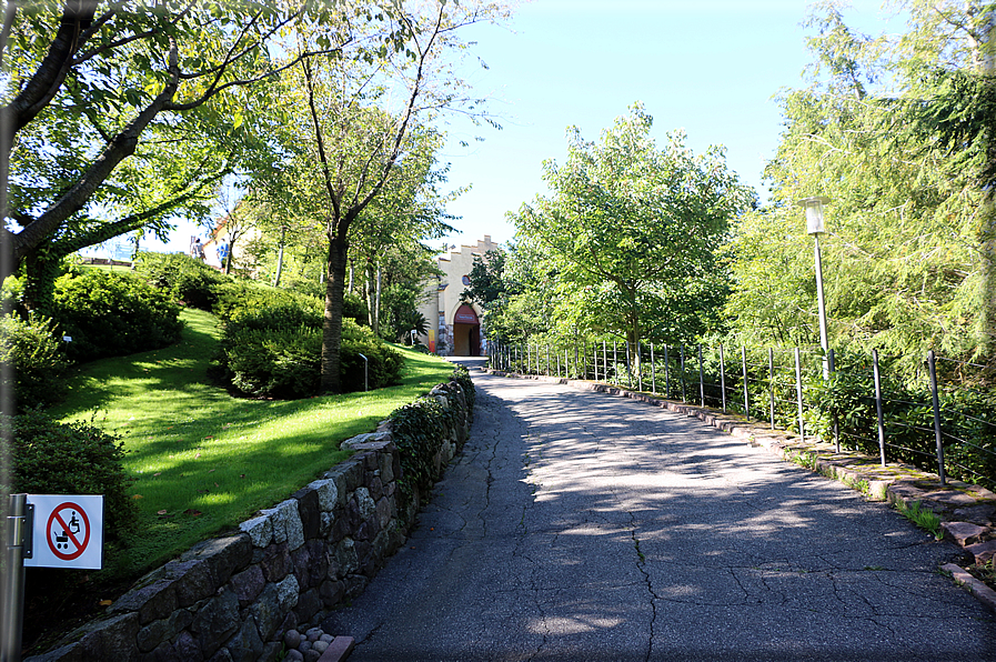 foto Giardini Trauttmansdorff - Boschi del Mondo